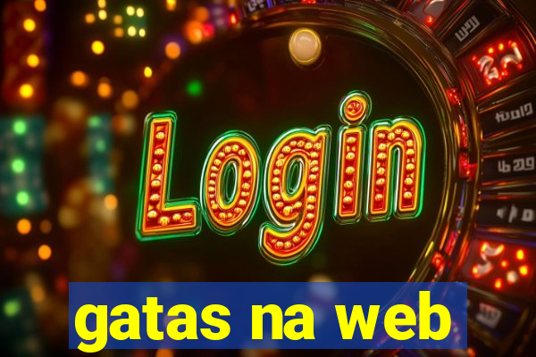 gatas na web